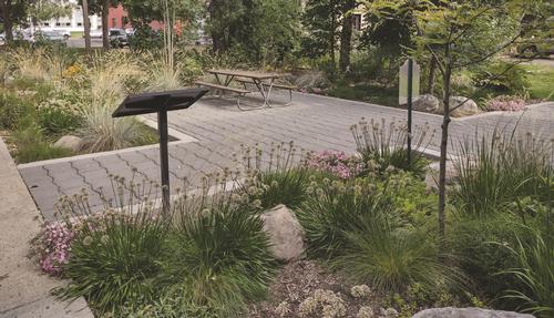 A garden with a small tree, grasses, a  reading plaque is surrounded by a walkway. Photo by Linda Iverson